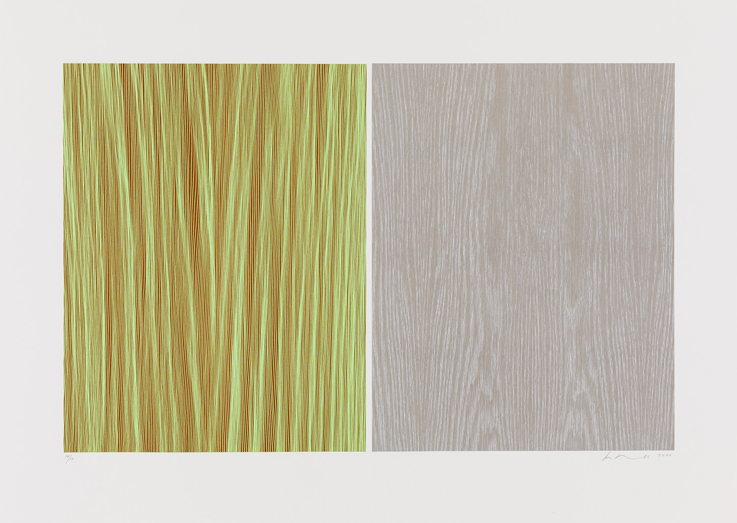 Understory 2 by Ann Aspinwall