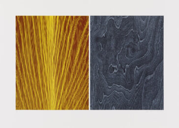 Understory 1 by Ann Aspinwall at Aspinwall Editions
