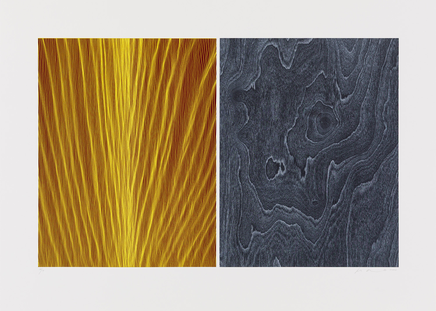 Understory 1 by Ann Aspinwall