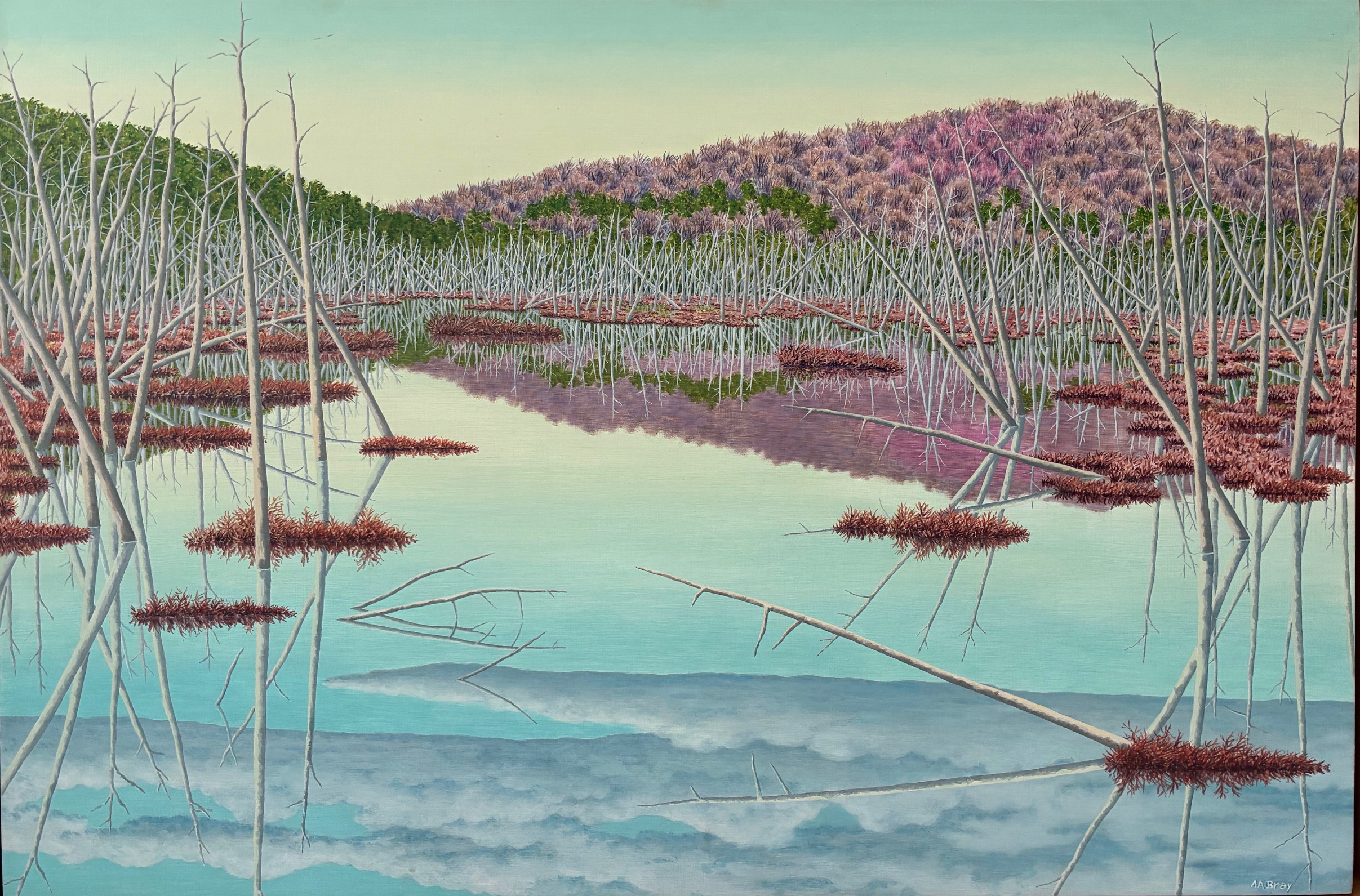Lougee Bog by Alan Bray