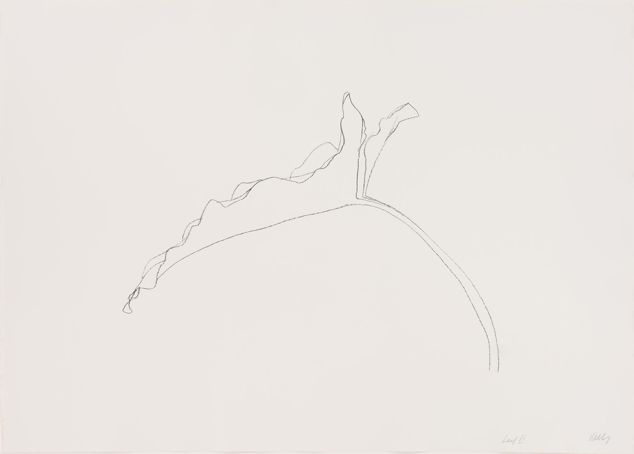 Leaf xi by Ellsworth Kelly