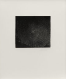 Untitled (Web 2) by Vija Celmins at Susan Sheehan Gallery