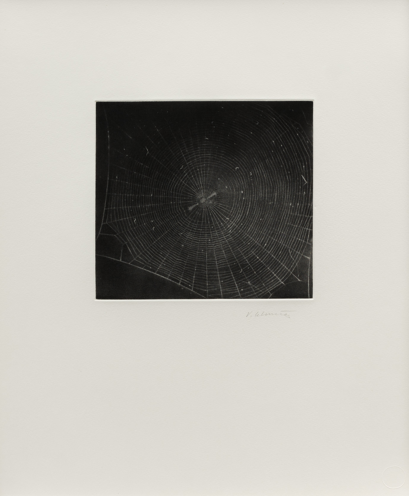 Untitled (Web 2) by Vija Celmins