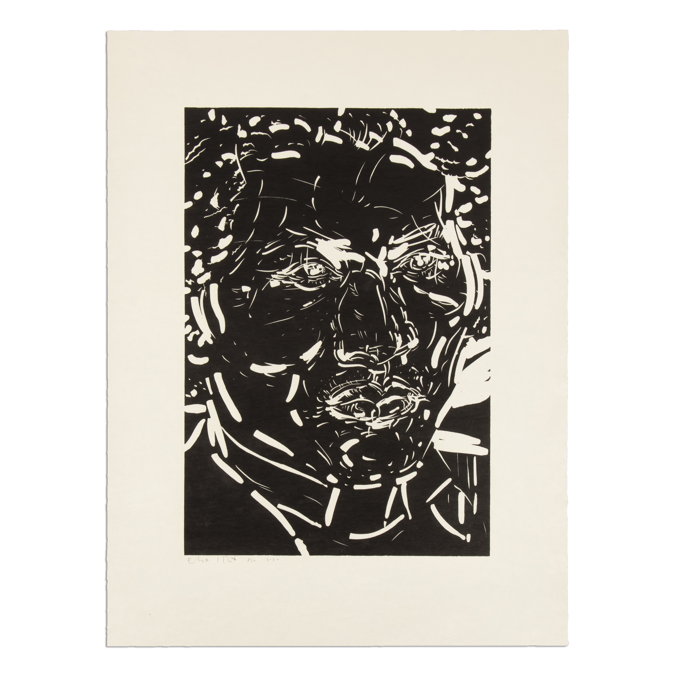 Frederick Douglass by Elizabeth Peyton
