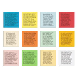Inflammatory Essays (twelve works) by Jenny Holzer at MLTPL