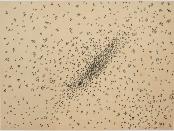 Insect Slant (for Steve) by Ed Ruscha at Vermillion Editions