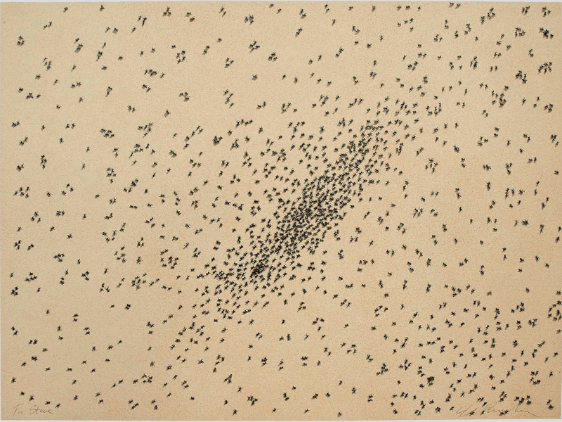 Insect Slant (for Steve) by Ed Ruscha