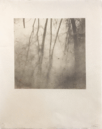 Reflection in the water by Farhad Ostovani at Michael Woolworth