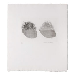 Straw on the Left, Gold on the Right by David Hockney at MLTPL