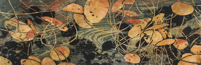 Surface to Surface #5 by Catherine Kernan at VanDeb Editions