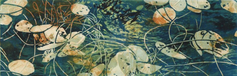 Surface to Surface #9 by Catherine Kernan at VanDeb Editions