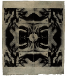 Finger Prints 7/17 by Linda Schwarz ​ at Wildwood Press