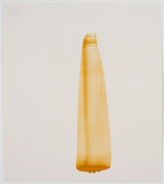 Shift by Amanda Keeley at PS Marlowe