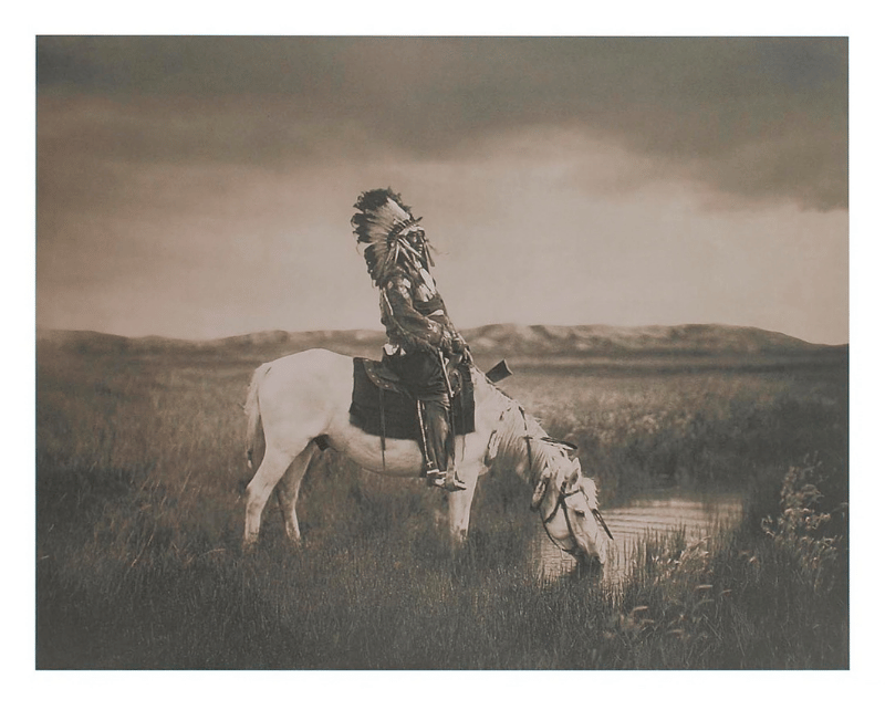 Oasis in the Badlands by Edward Curtis