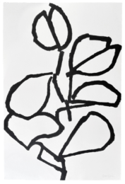 Sama by John Graham at Stoney Road Press
