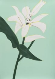 White Lilies 2 by Alex Katz at Michael Lisi/Contemporary Art