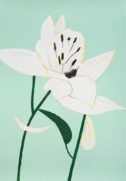 White Lilies 4 by Alex Katz at Michael Lisi/Contemporary Art
