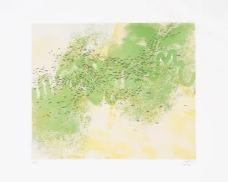 Air (from The Elements Suite) by Beili Liu at Flatbed Press and Gallery