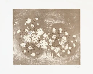Earth (from The Elements Suite) by Beili Liu at Flatbed Press and Gallery