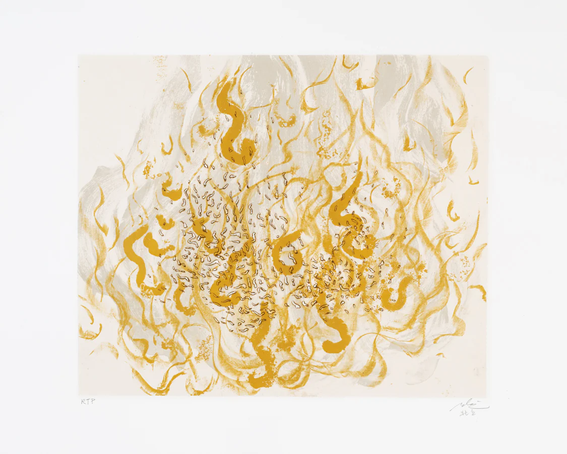 Fire (from The Elements Suite) by Beili Liu
