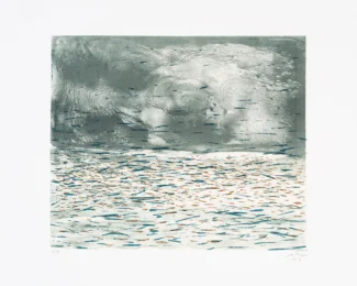 Water (from The Elements Suite) by Beili Liu at Flatbed Press and Gallery