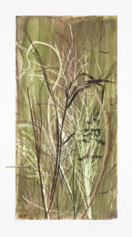 Field’s Edge 46 by Paula Zinsmeister at Oehme Graphics