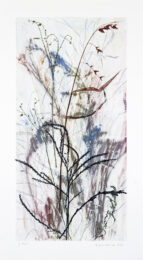 Field’s Edge 47 by Paula Zinsmeister at Oehme Graphics