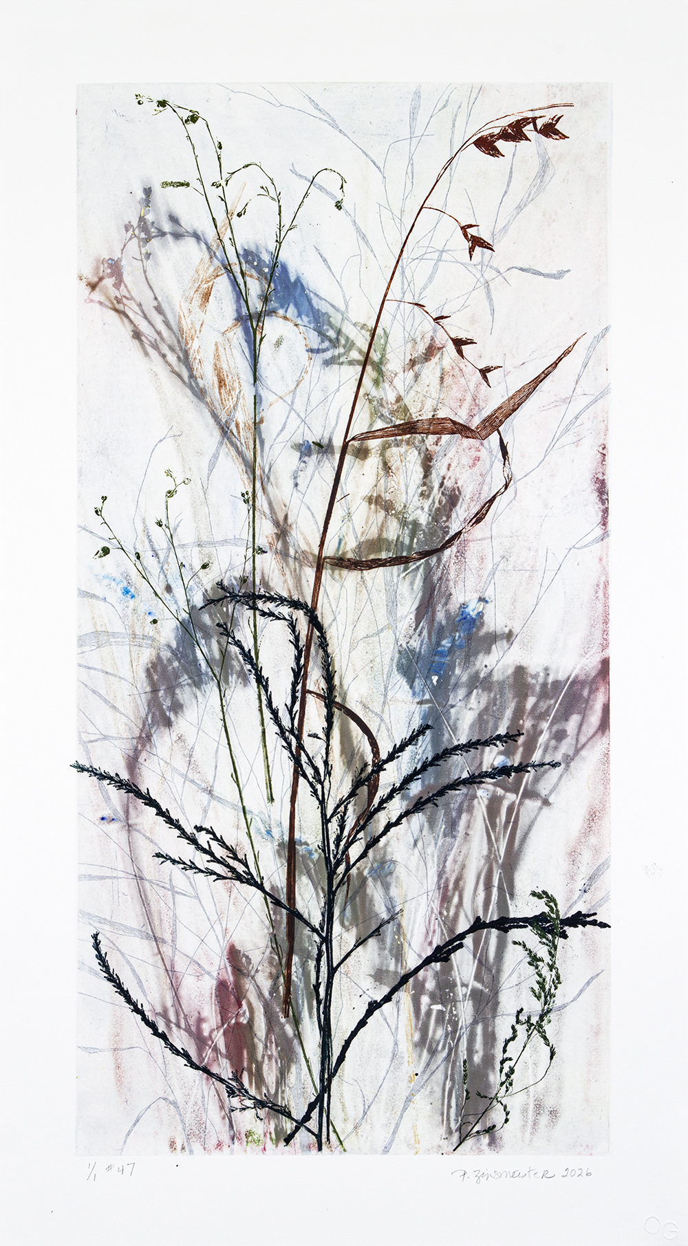Field’s Edge 47 by Paula Zinsmeister