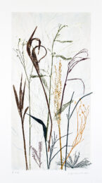 Field’s Edge 48 by Paula Zinsmeister at Oehme Graphics