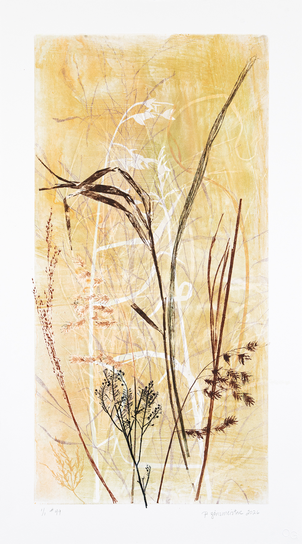 Field’s Edge 49 by Paula Zinsmeister