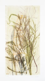 Field’s Edge 51 by Paula Zinsmeister at Oehme Graphics