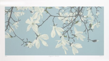 Magnolia Stellata by Gilly McCadden at Artizan Editions