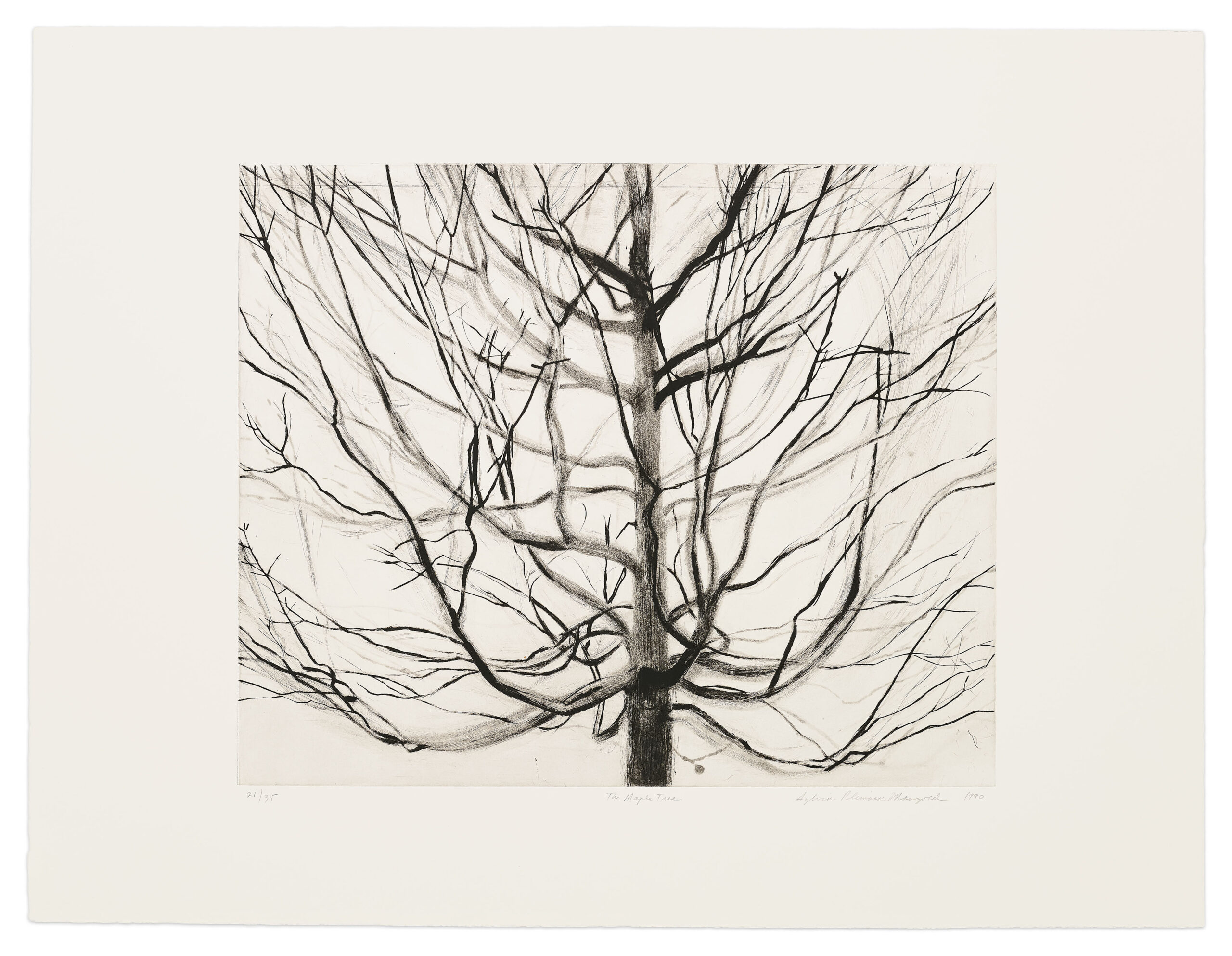 The Maple Tree by Sylvia Plimack Mangold