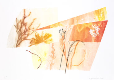 Out Field 1 by Paula Zinsmeister at Oehme Graphics