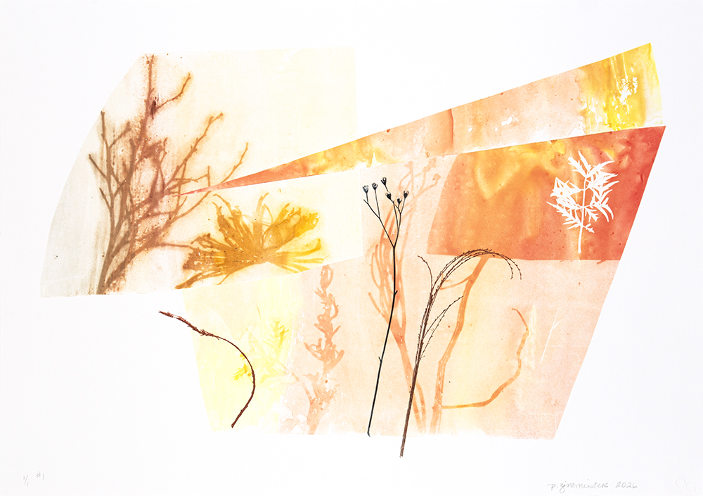 Out Field 1 by Paula Zinsmeister