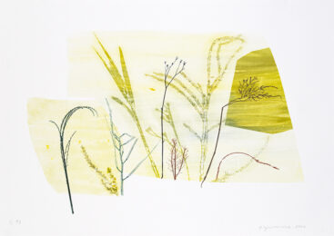 Out Field 8 by Paula Zinsmeister at Oehme Graphics