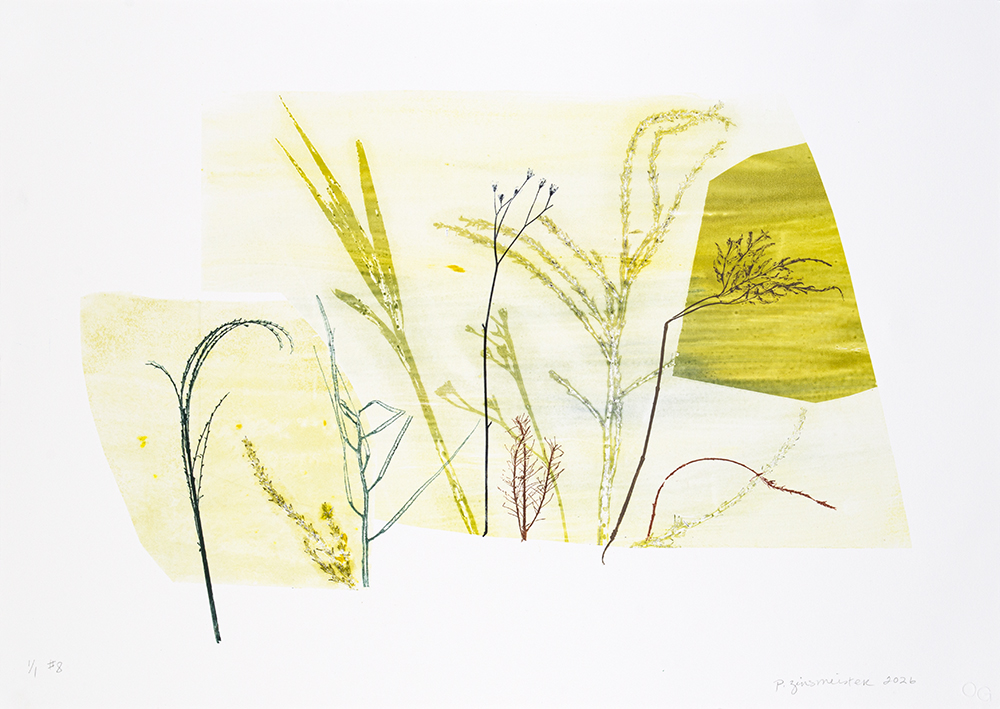 Out Field 8 by Paula Zinsmeister