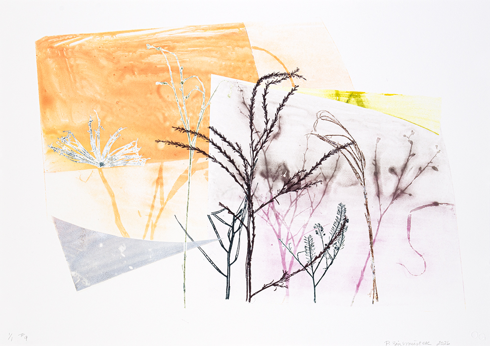 Out Field 9 by Paula Zinsmeister
