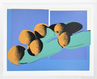 Space Fruit: Cantaloupes I (large screen print – authenticated) by Andy Warhol at GallArt.com