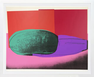 Space Fruit: Watermelon (large screen print – authenticated) by Andy Warhol at GallArt.com