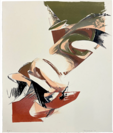 Shelter/Console I by Larissa Tokmokova at Jungle Press Editions