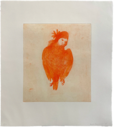 Harpy by Valerie Hammond at Jungle Press Editions