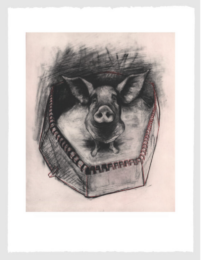 Pigheaded (ii) by Rita Duffy at Stoney Road Press