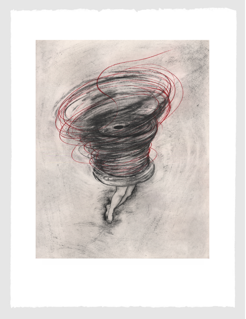 Spin by Rita Duffy