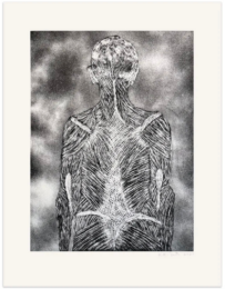 Dandelion by Kiki Smith at LeRoy Neiman Center for Print Studies