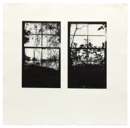 Windows – Abandoned Building – Lake City, SC by Frank Poor at Krakow Witkin Gallery