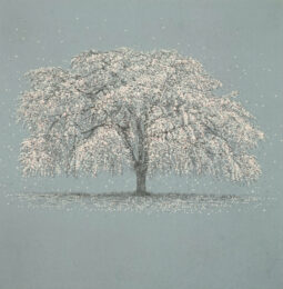 cherry blossoms by Tokuro Sakamoto at KIDO Press