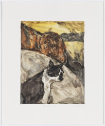 Mountain Cat by Heidi Fourie at David Krut Projects