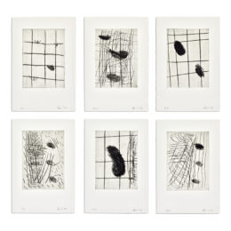 6 Radierungen by Günther Förg at MLTPL