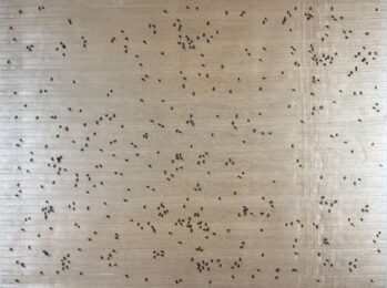 Black Ants from the Insects Portfolio by Ed Ruscha at Hamilton-Selway Fine Art